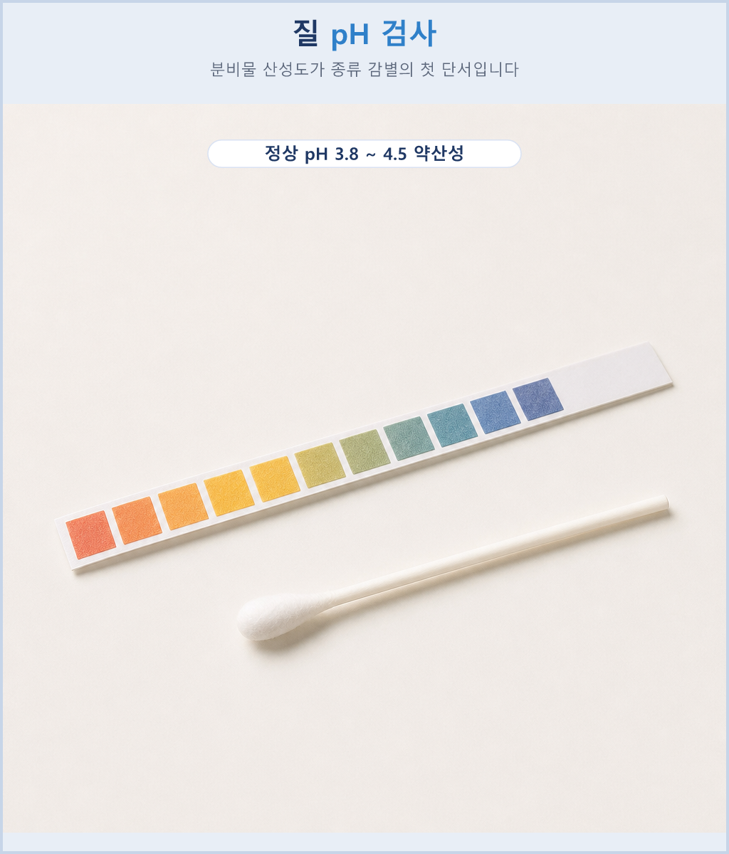 정상 질 pH 3.8에서 4.5 범위를 보여주는 pH 검사 스케일