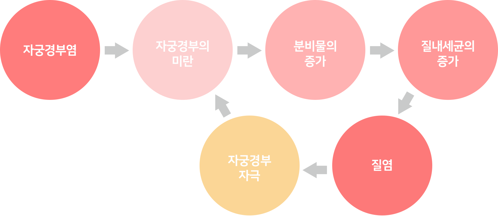 자궁경부염 악순환 — 자궁경부염 → 자궁경부의 미란 → 분비물의 증가 → 질내세균의 증가 → 질염 → 자궁경부 자극